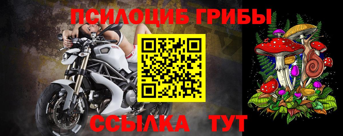 Псилоцибиновые грибы Cubensis  Псилоцибиновые грибы Cubensis  Вход с VPN  Великий Устюг 