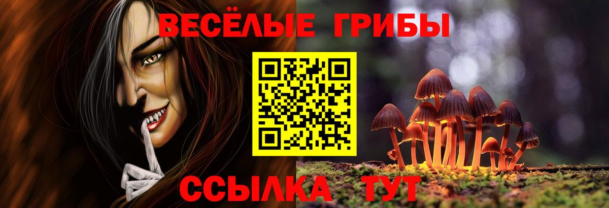 Псилоцибиновые грибы Magic Shrooms Великий Устюг